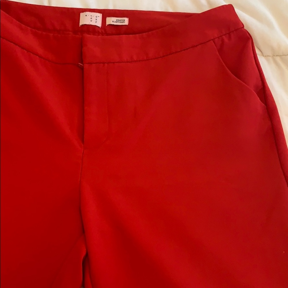 Dress pants